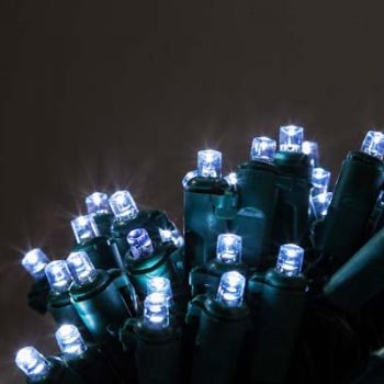 Serie de 100 focos led modelo: WS-1582-AT