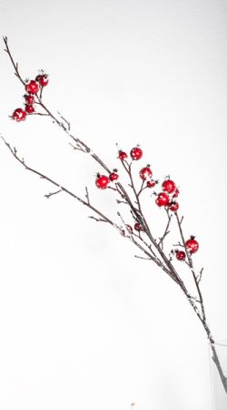 pick de berry modelo: F66577 rojo/blanco
