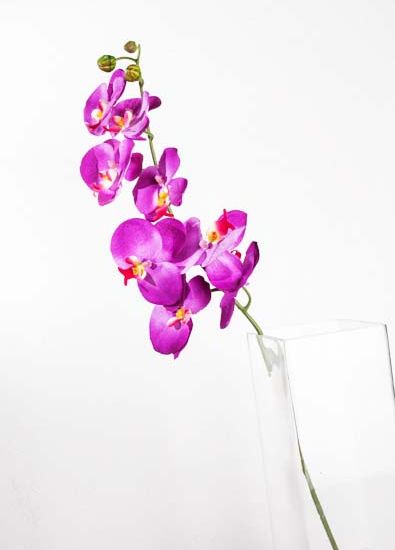 vara de orquidea modelo: R61021-STEM-S blanco, amarillo y morado 