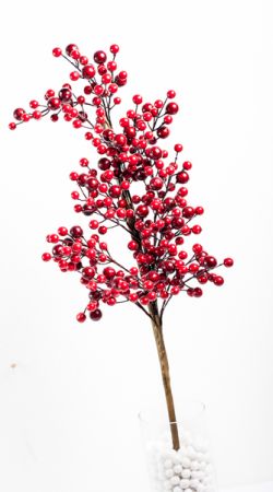 pick de berry modelo: R02801 rojo 