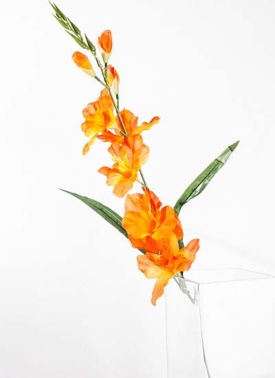 gladiola modelo: M85035 crema, amarillo, naranja, rojo y fiusha