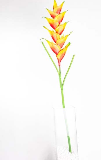 vara de heliconia 48" modelo: M21209 naranja 