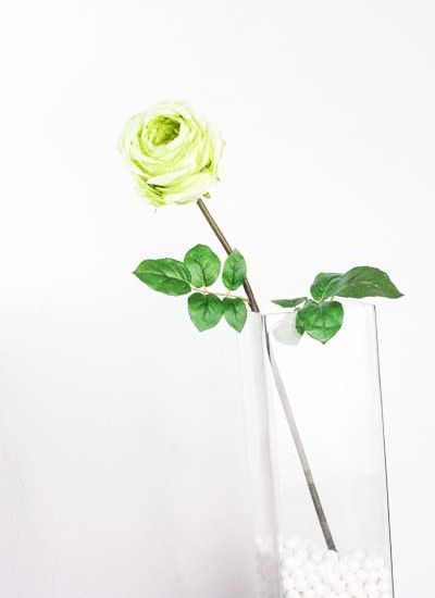 vara de rosa 24.5" modelo: R69104 crema, crema/rosa, fiusha y verde  