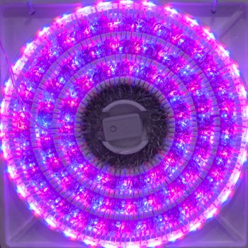 Serie de 400 focos led modelo: WS-4058-M y P rosa y morado 