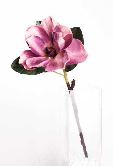 vara de lily modelo: M01678 crema/beige crema/verde 